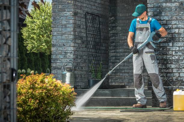 Best Animal Enclosure Cleaning  in Lewisburg, WV
